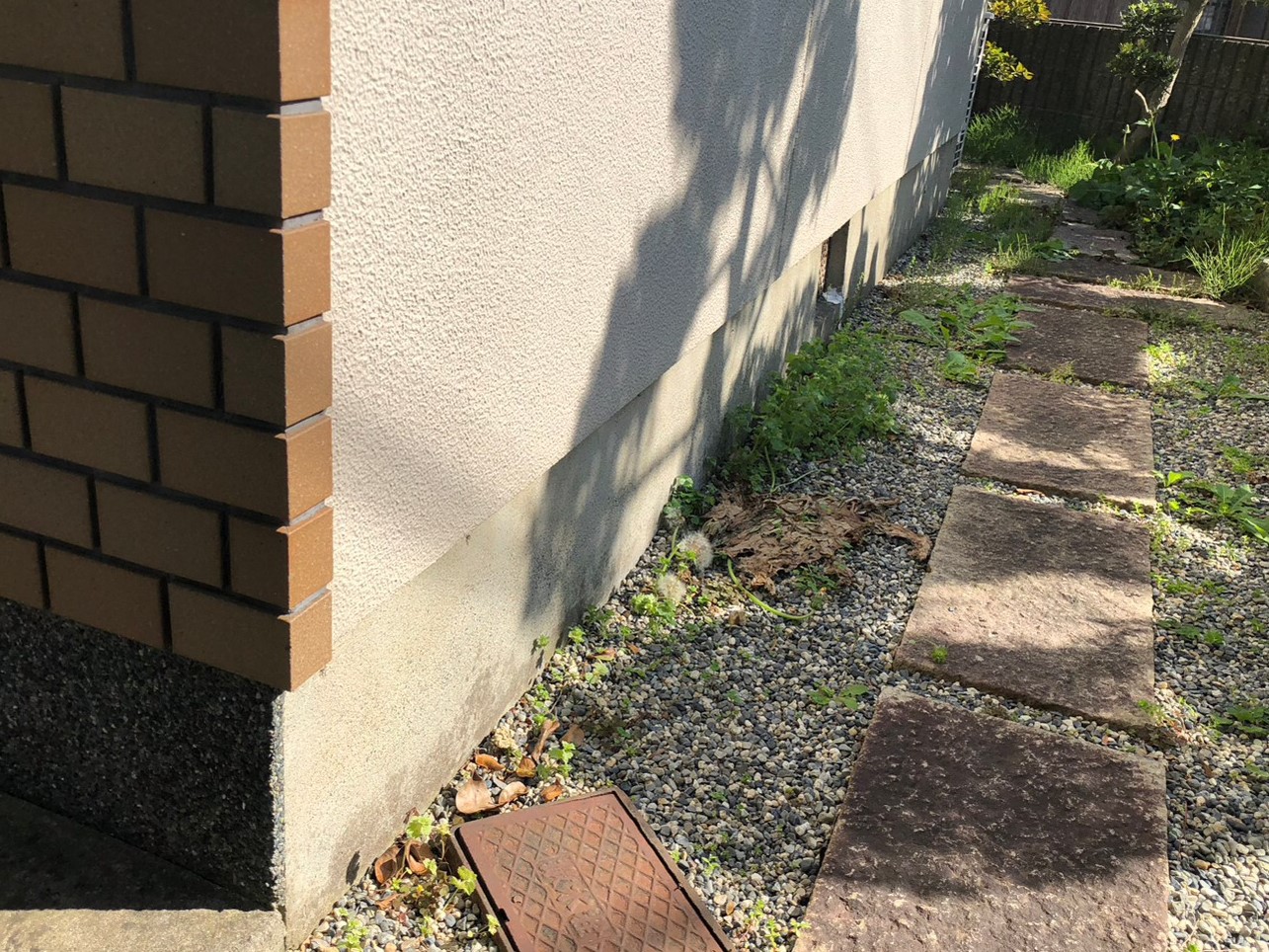 Before画像