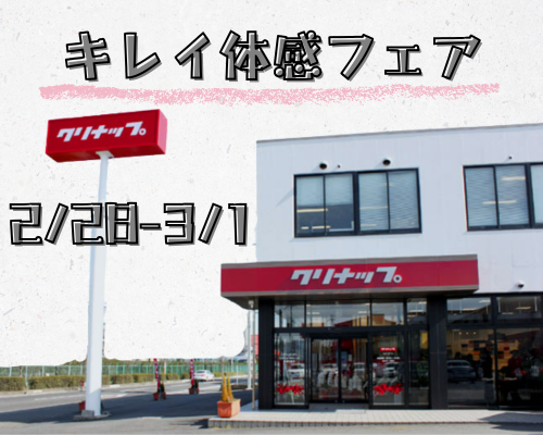 キレイ体感フェア🌟 アイキャッチ画像