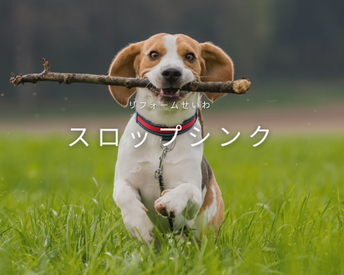 スロップシンクで外遊びを快適に アイキャッチ画像