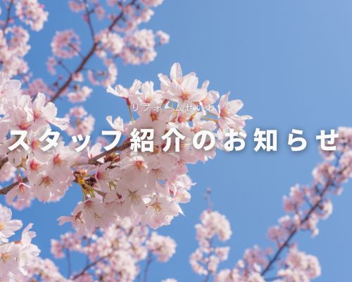 【NEW】スタッフ紹介 アイキャッチ画像