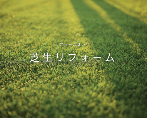 夏のBBQに備えて！芝生リフォームで快適な屋外🌿 アイキャッチ画像