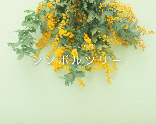 おススメのシンボルツリー4選 アイキャッチ画像