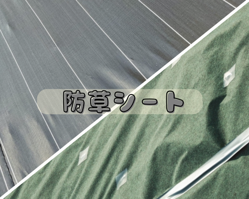 防草シート🌱どう選ぶ？ アイキャッチ画像