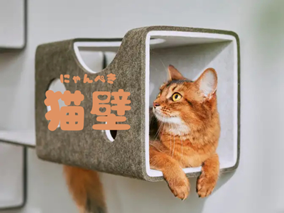 😺愛猫も大喜び！リクシルの『猫壁』で叶える快適キャットライフ アイキャッチ画像