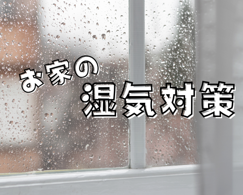 おうちの湿気対策🏠 アイキャッチ画像