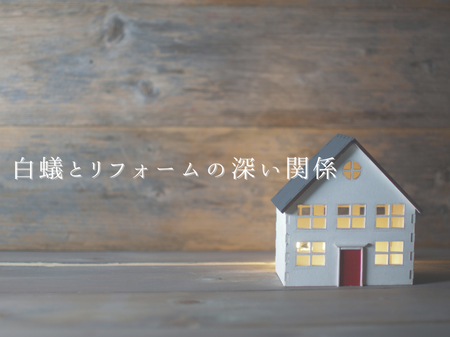🐜見えないところで家をむしばむ… 白蟻とリフォームの深い関係 アイキャッチ画像