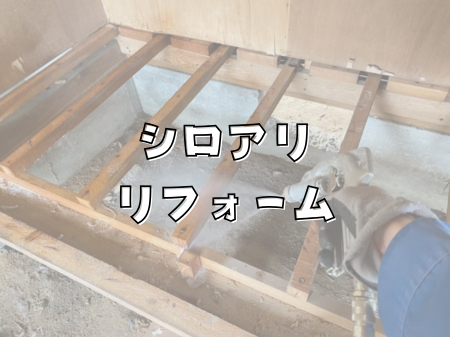 シロアリリフォームって？？ アイキャッチ画像