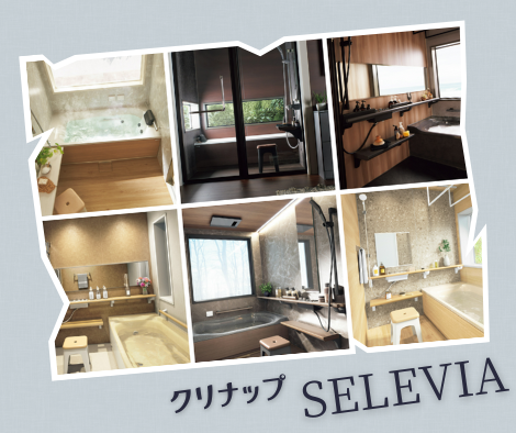 NEW✨SELEVIA アイキャッチ画像